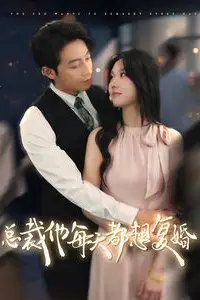 《总裁他每天都想复婚》封面