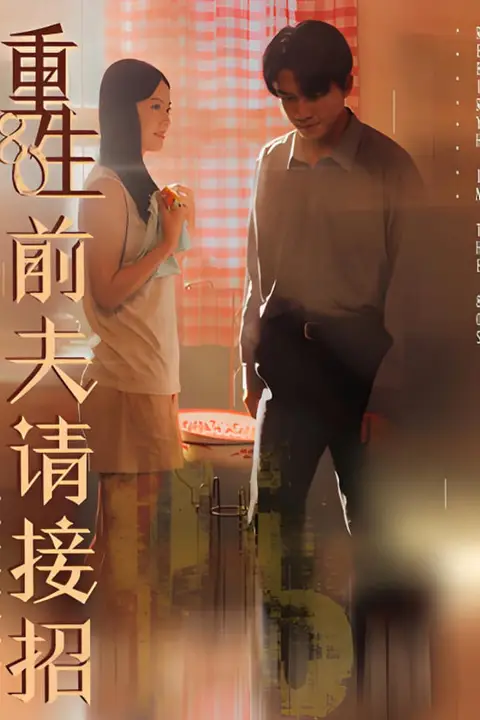 《重生80前夫请接招》封面