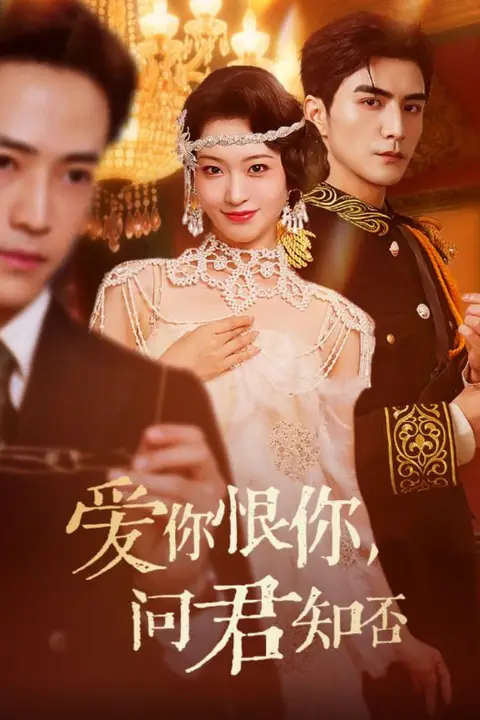 《爱你恨你问君知否》封面
