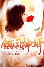 《镇国神婿》封面