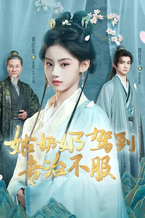 《姑奶奶驾到专治不服》封面