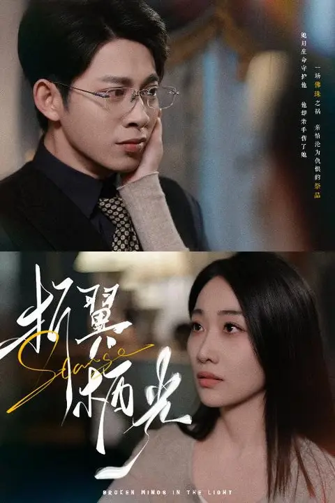 《折翼栖光》封面