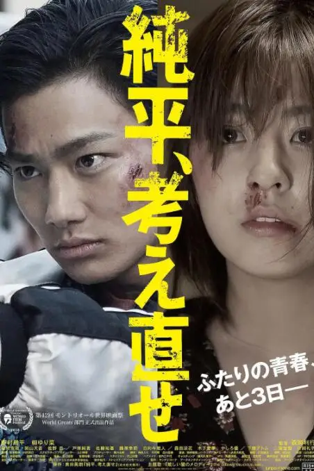《纯平,再想想》封面