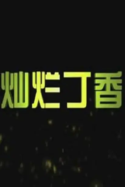 《灿烂丁香 2011》封面