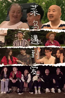 《菜鸟遇到爱》封面