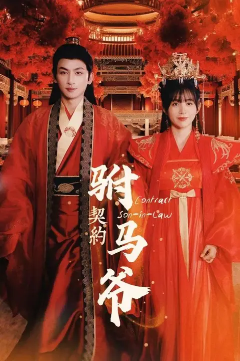 《契约驸马爷》封面