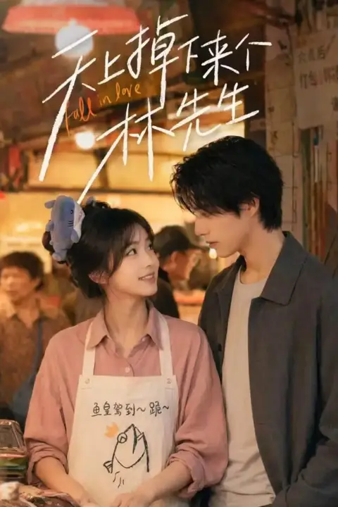 《天上掉下来个林先生》封面