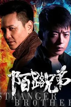 《陌路兄弟》封面