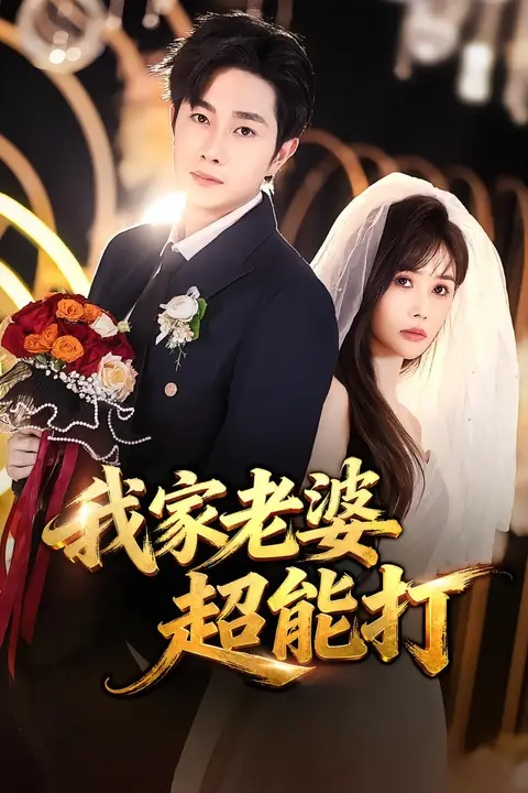 《我家老婆超能打》封面