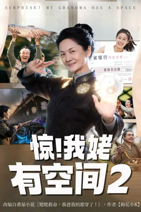 《惊！我姥有空间》封面