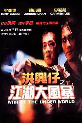 《洪兴仔之江湖大风暴》封面