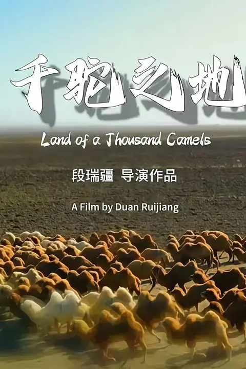 《千驼之地》封面