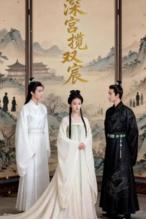 《深宫揽双宸》封面