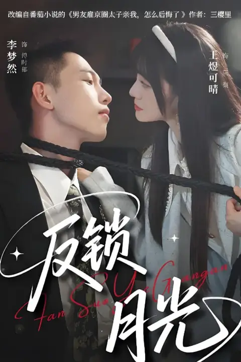 《反锁月光》封面
