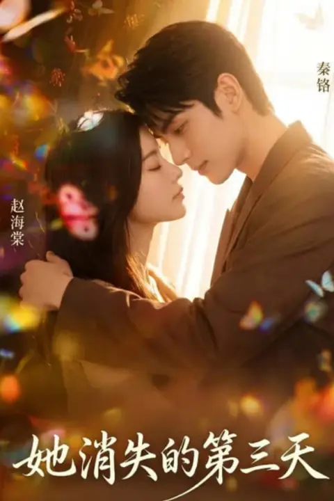 《她消失的第三天》封面
