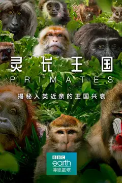 《灵长王国》封面