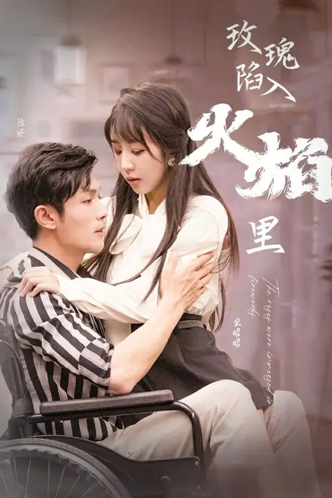 《新玫瑰陷入火焰里》封面