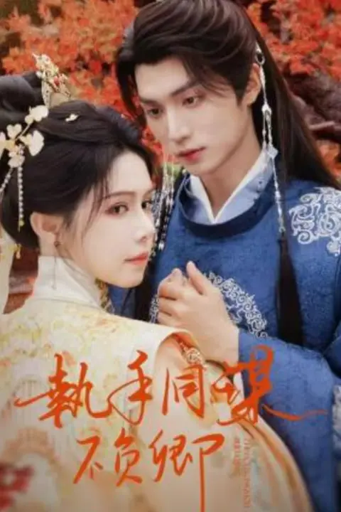 《执手同谋不负卿》封面