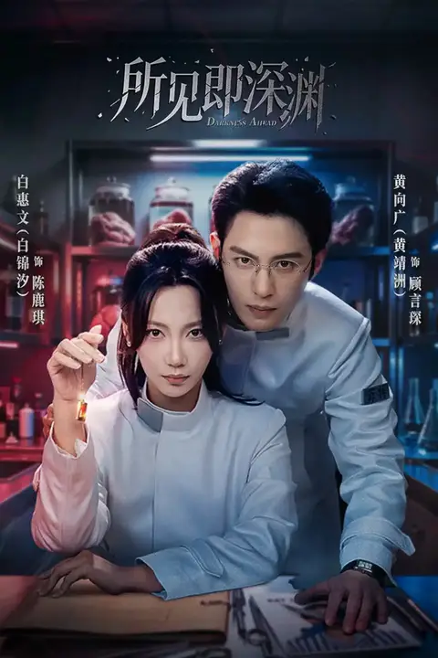 《所见即深渊》封面