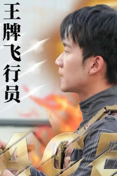 《王牌飞行员》封面