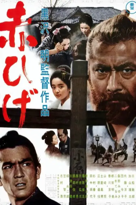 《红胡子》封面