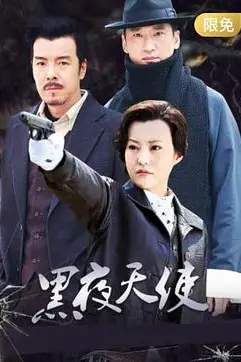 《黑夜天使》封面