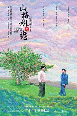 《山楂树之恋》封面