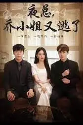 《夜总,乔小姐又逃了》封面