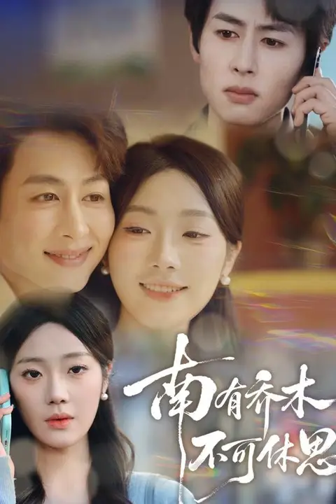 《南有乔木,不可休思》封面