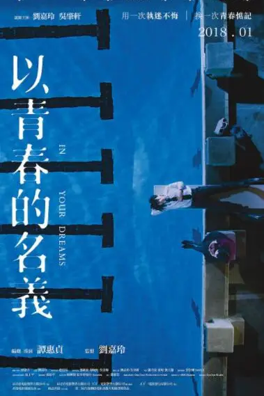 《以青春的名义》封面