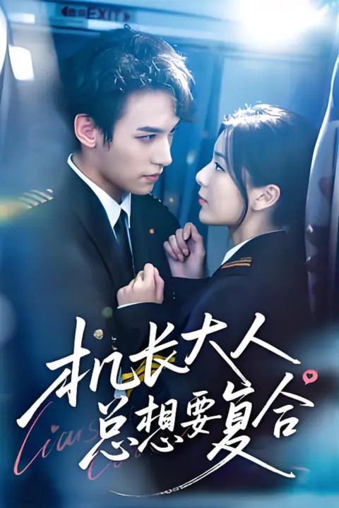 《机长大人总想要复合》封面