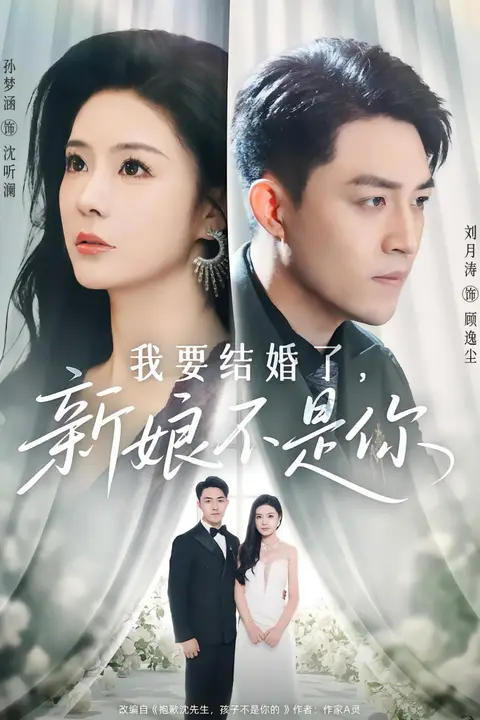 《我要结婚了新娘不是你》封面