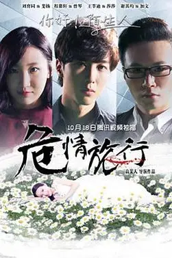 《危情旅行》封面