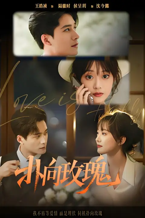 《扑向玫瑰》封面
