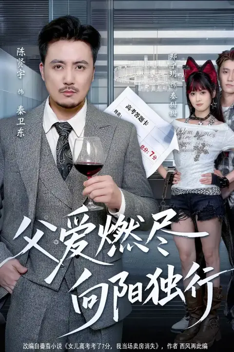 《父爱燃尽,向阳独行》封面
