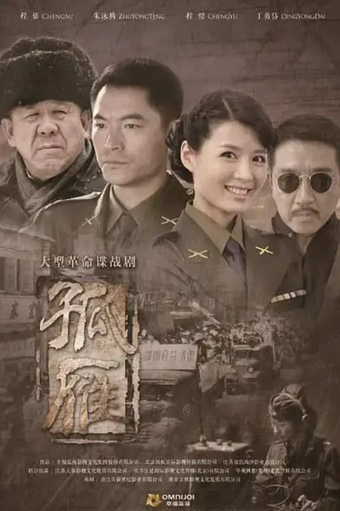 《孤雁》封面