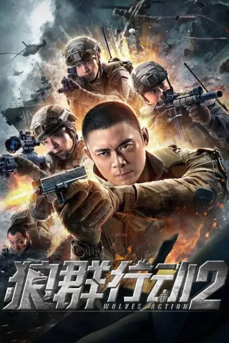 《狼群行动2》封面