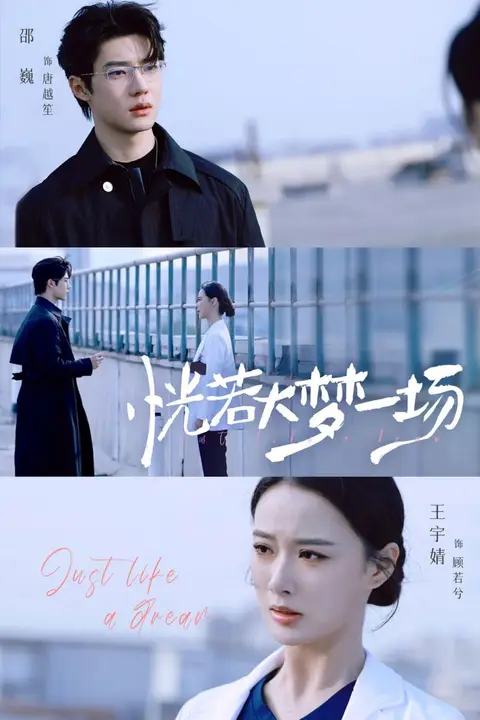 《恍若大梦一场》封面