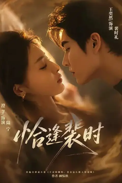 《恰逢裴时》封面