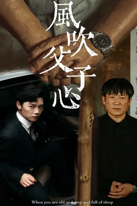 《风吹父子心》封面