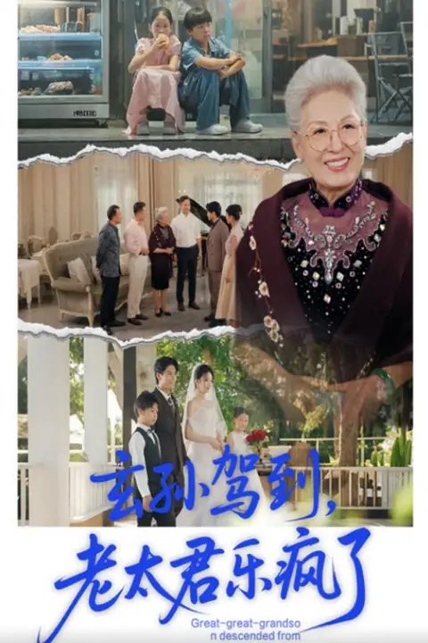 《玄孙驾到老太君乐疯了》封面