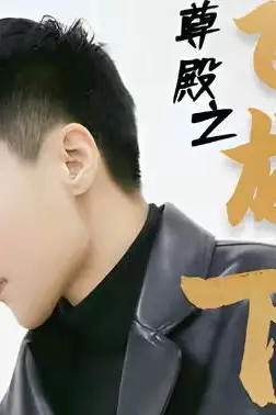 《帝尊殿之飞龙天下》封面