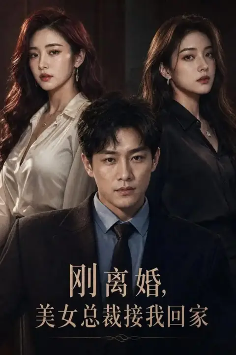 《刚离婚，美女总裁接我回家》封面