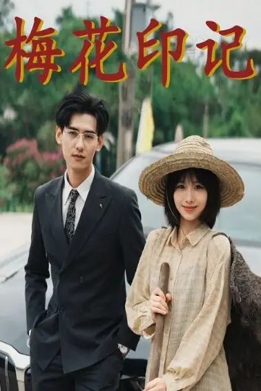 《梅花印记》封面