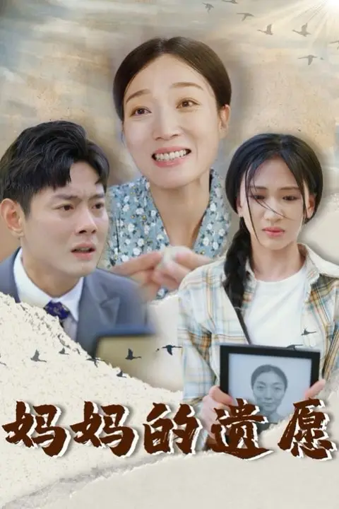 《妈妈的遗愿》封面