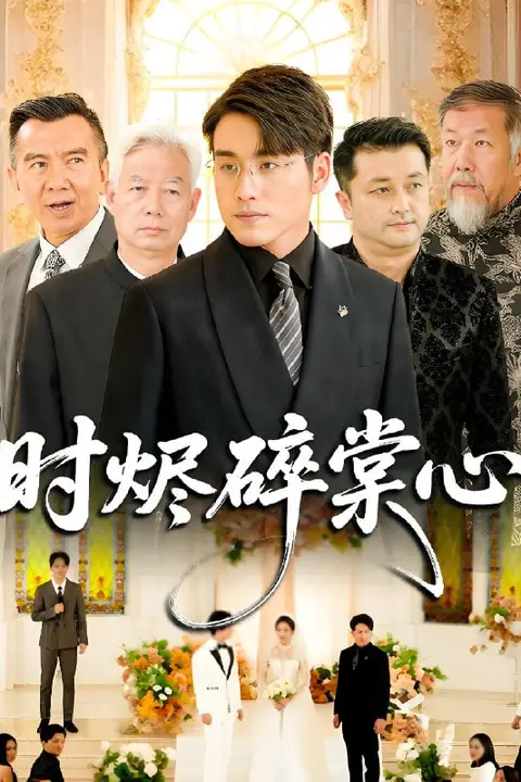 《时烬碎棠心》封面