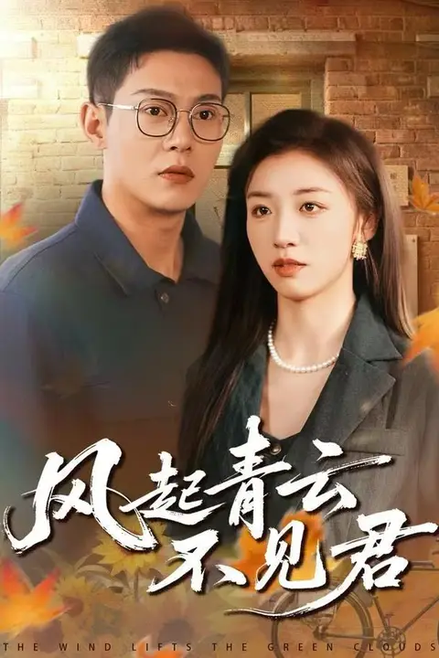 《风起青云不见君》封面