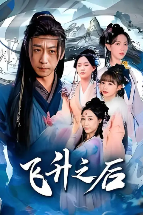 《飞升之后》封面
