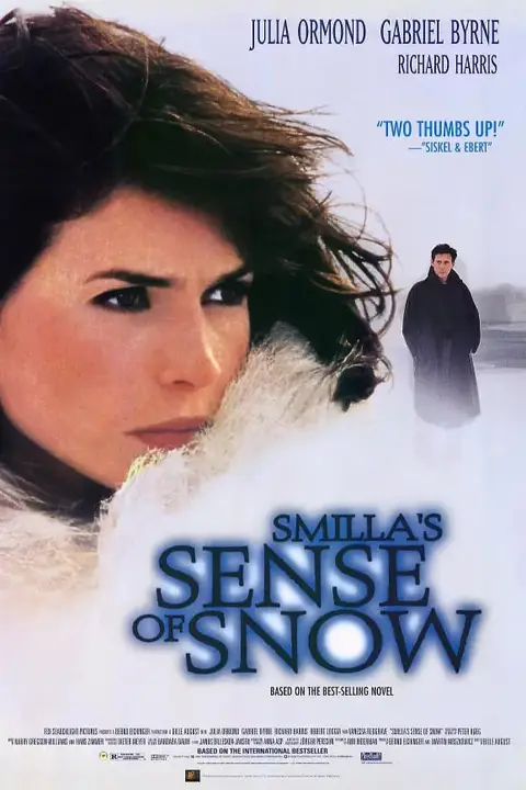 《冰雪谜案》封面