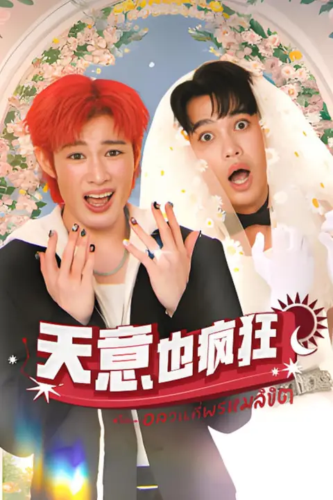 《天意也疯狂》封面